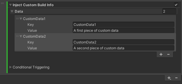 Inject custom build info